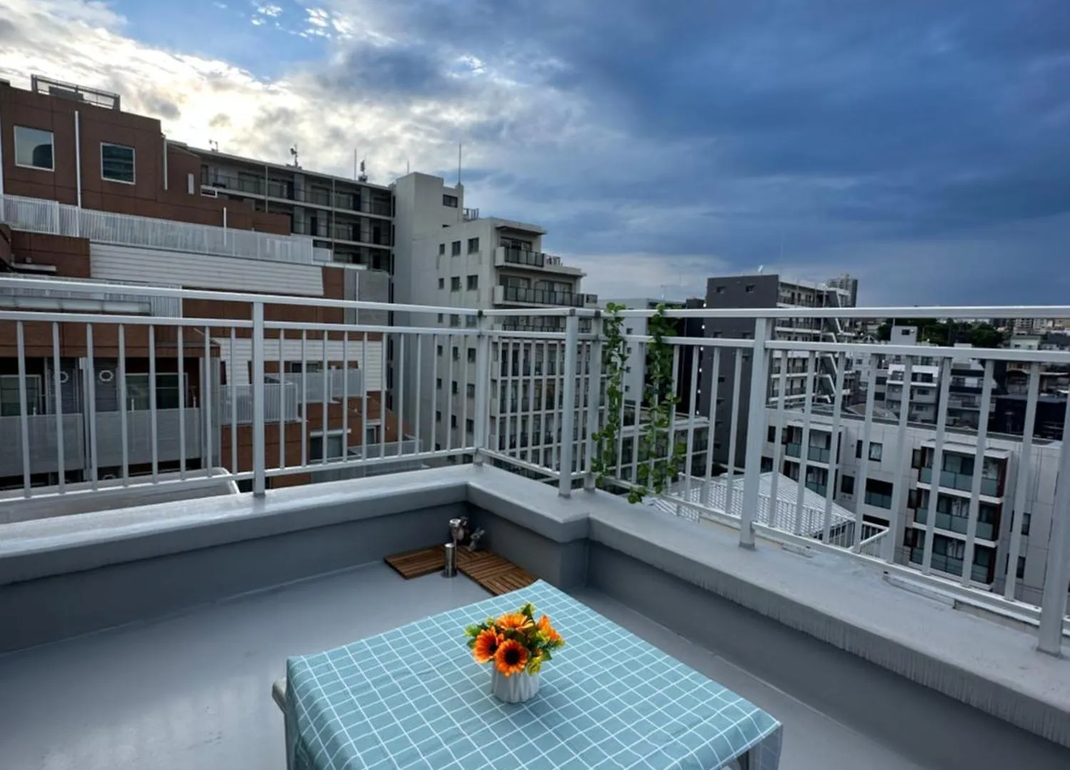 Apartment 东京巨蛋演唱会 超大露台，网红公寓，整套房源，适合情侣度假，商务旅游 Tokyo